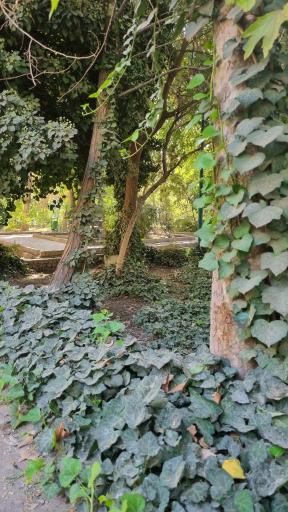 عکس بوستان گلزار