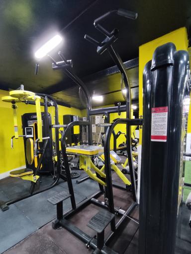 عکس باشگاه بدنسازی فایو استار