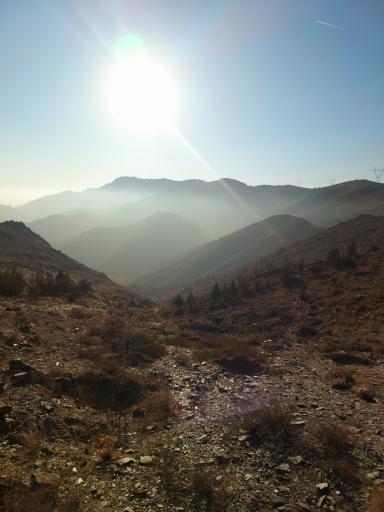 عکس اکو پارک چهل بوستان