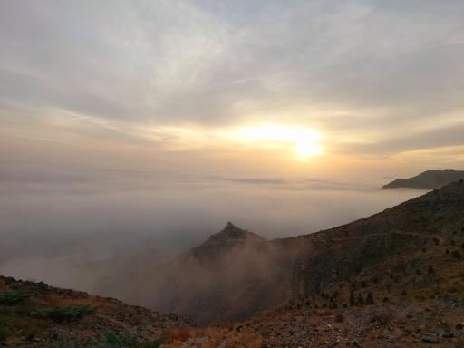 عکس اکو پارک چهل بوستان