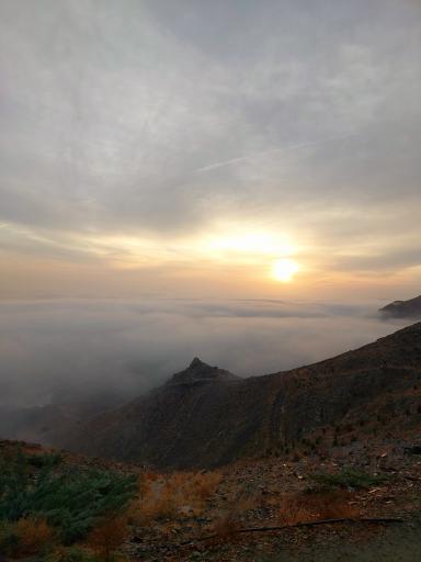 عکس اکو پارک چهل بوستان