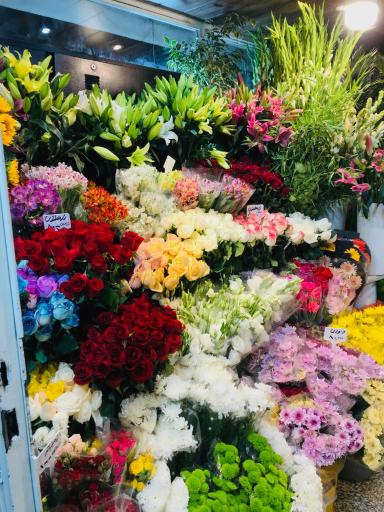 عکس گل فروشی شقایق