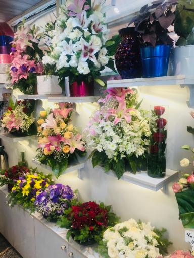 عکس گل فروشی شقایق