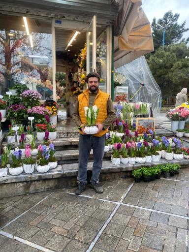 عکس گل فروشی شقایق