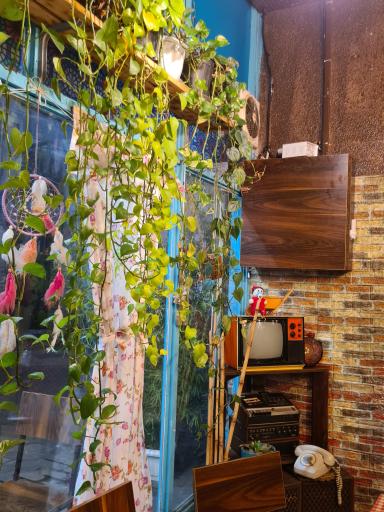 عکس کافه گندم