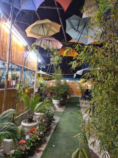 عکس کافه گندم