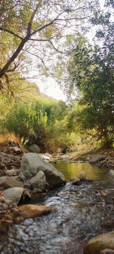 عکس آبشار کلوگان