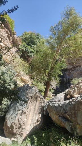 عکس آبشار کلوگان