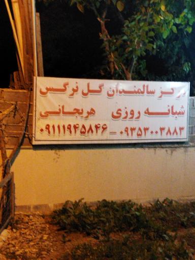 عکس خانه سالمندان گل نرگس