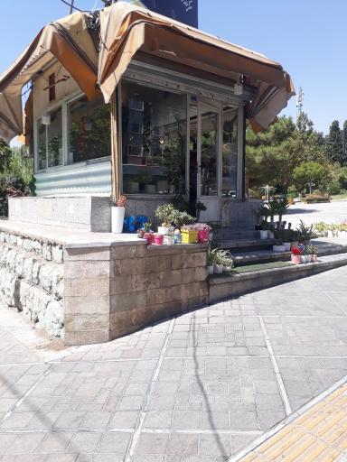 عکس گل فروشی شقایق