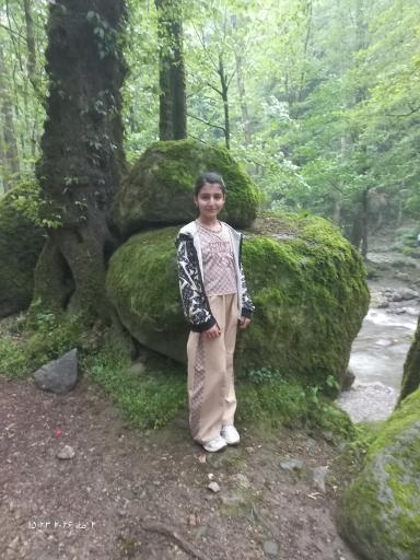 عکس بوستان جنگلی صفارود