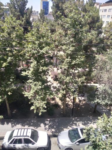 عکس بوستان عدل