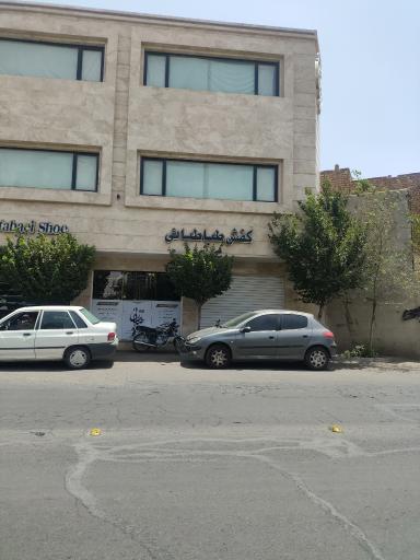 عکس کفش طباطبایی