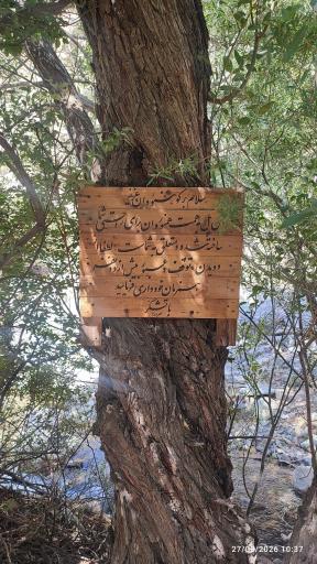عکس آبشار کلوگان