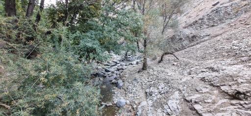 عکس آبشار کلوگان