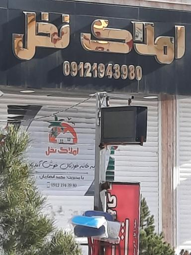 عکس املاک نخل