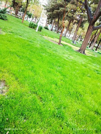 عکس پارک مطهر