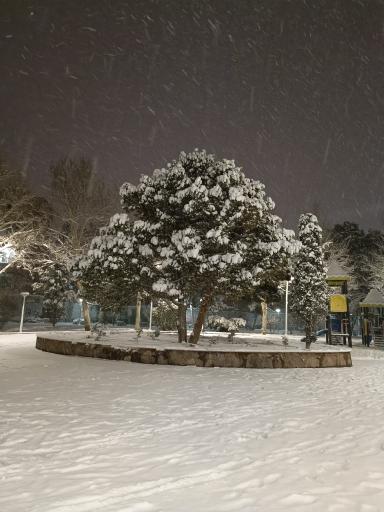 عکس پارک مطهر