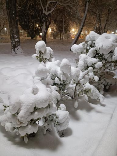 عکس پارک مطهر