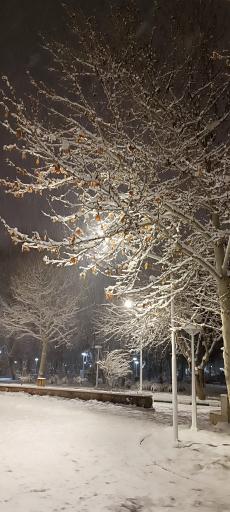 عکس پارک مطهر