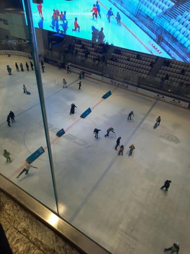 عکس زمین اسکی