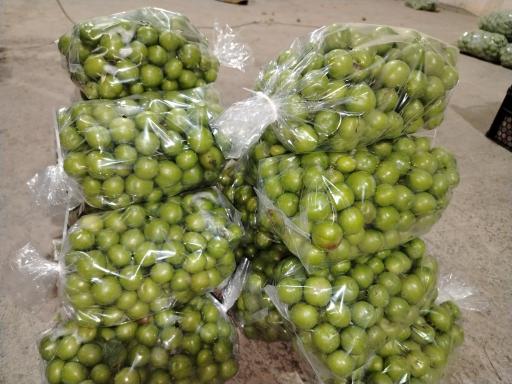 عکس میوه مسعود جعفری