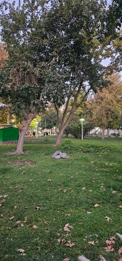 عکس پارک مطهر