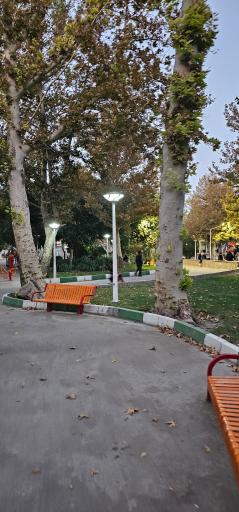 عکس پارک مطهر