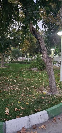 عکس پارک مطهر