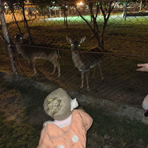 عکس پارک دهکده طلایی