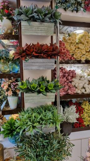 عکس معین گالری