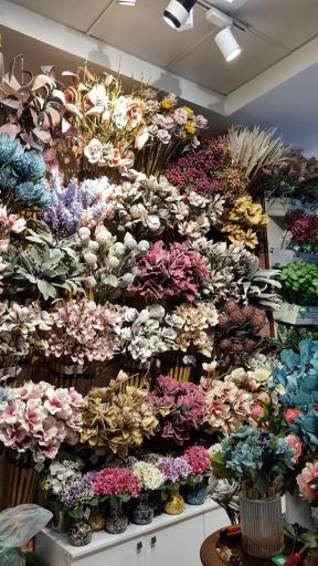 عکس معین گالری