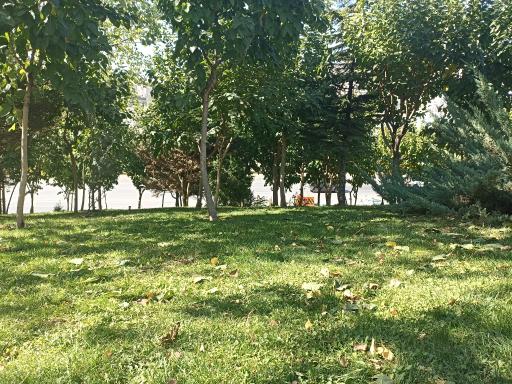 عکس بوستان پرسپولیس