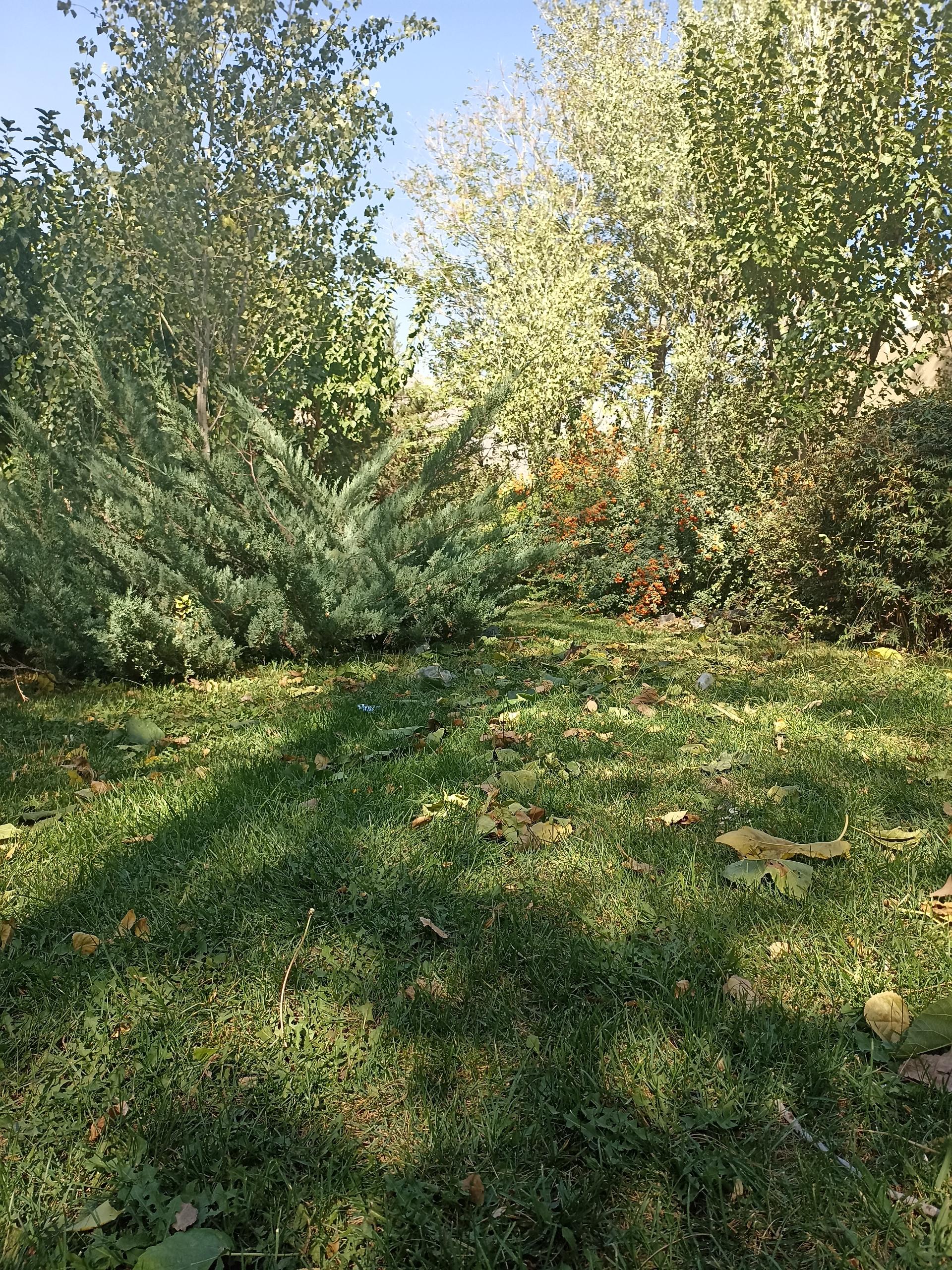 عکس بوستان پرسپولیس