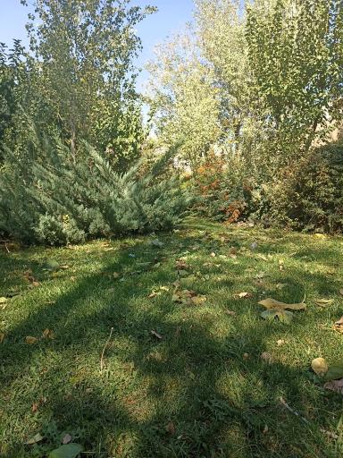 عکس بوستان پرسپولیس