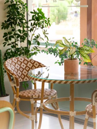 عکس بوتیک قنادی ال