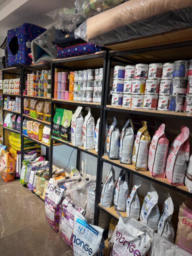 عکس پت شاپ آلفا