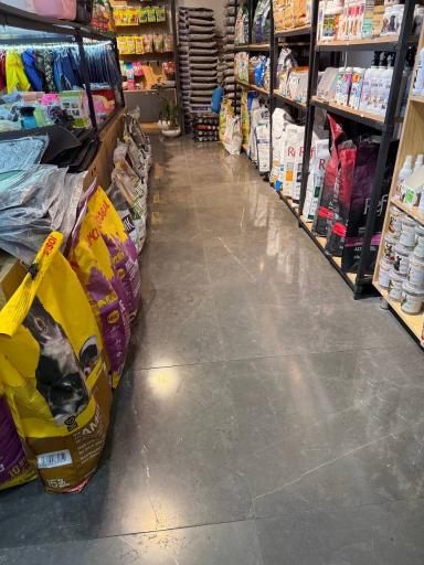 عکس پت شاپ آلفا