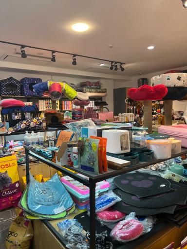 عکس پت شاپ آلفا