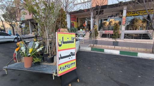 عکس گلستان مجید