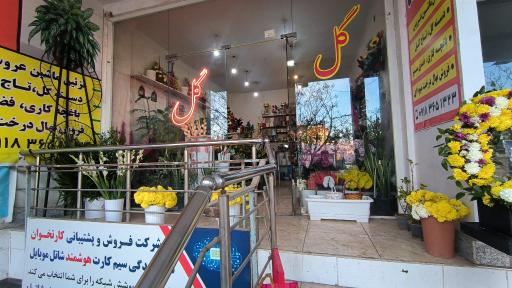 عکس گلستان مجید