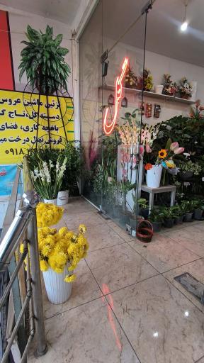 عکس گلستان مجید