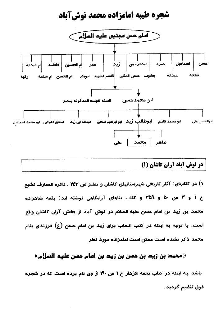 عکس امامزاده محمد