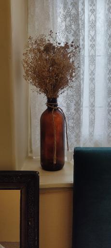 عکس مهمان خانه و کافه دیمه