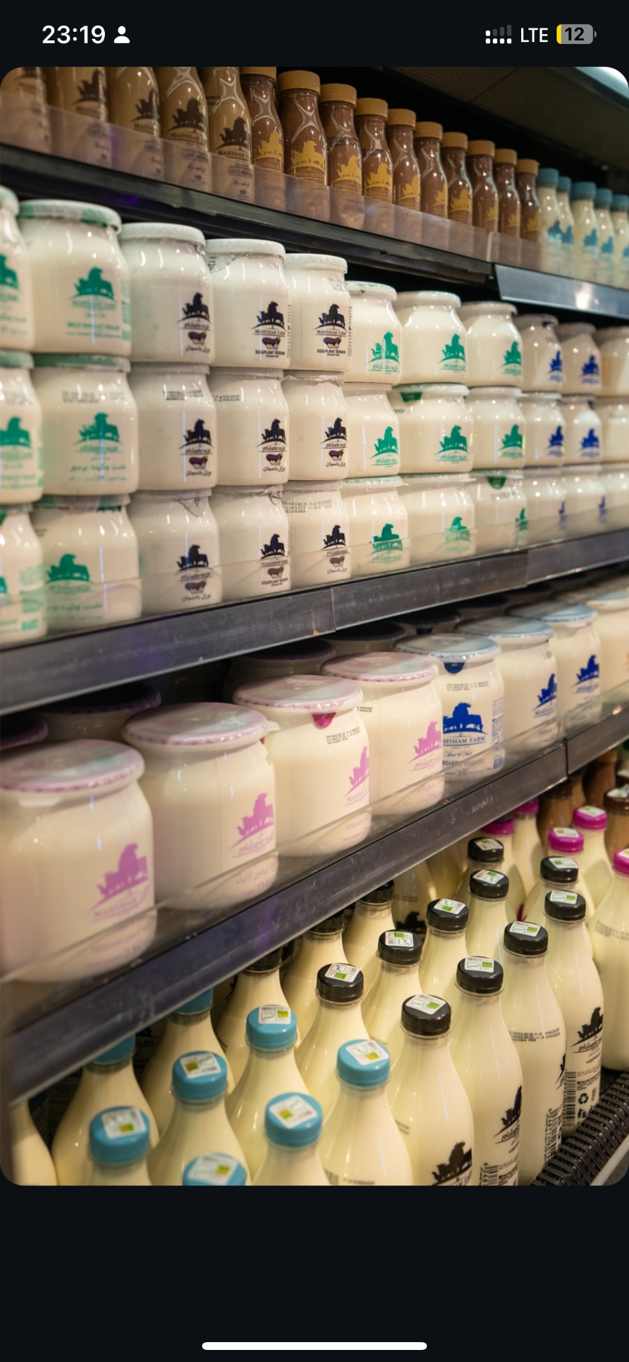 عکس پروتئینی پرولند رباط