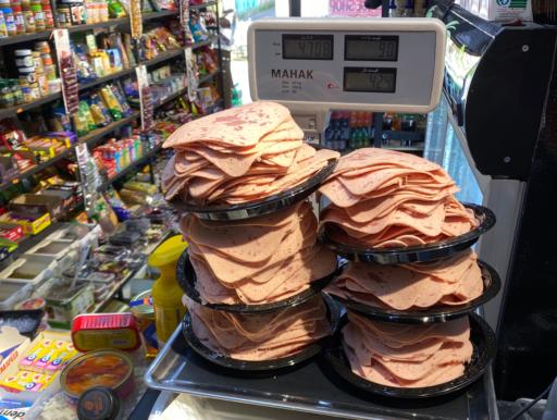 عکس پروتئینی پرولند رباط