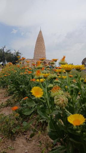 عکس آرامگاه یعقوب لیث صفاری