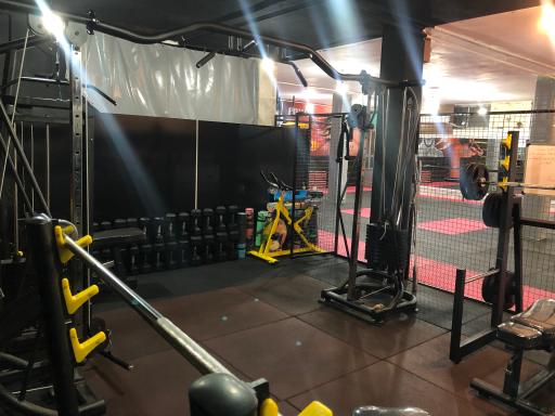 عکس باشگاه ورزشی فارِس