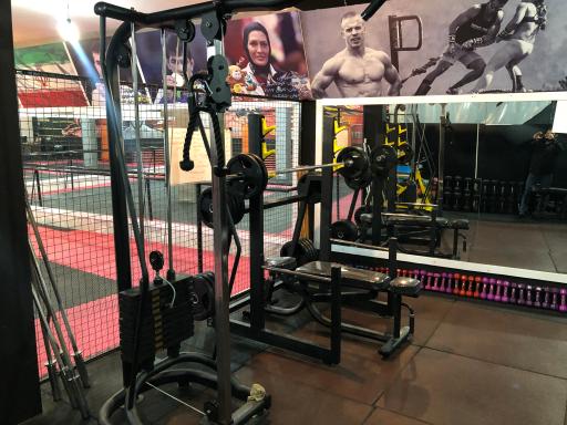 عکس باشگاه ورزشی فارِس