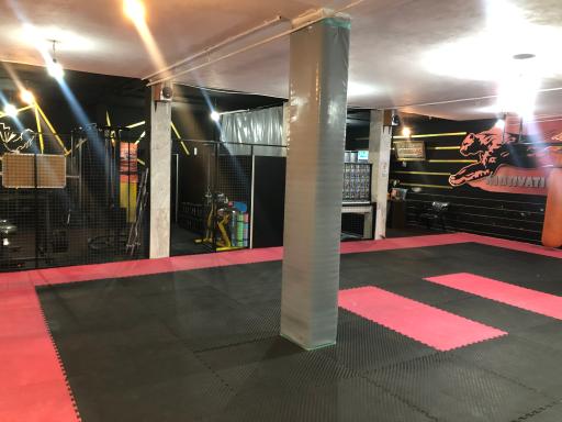 عکس باشگاه ورزشی فارِس